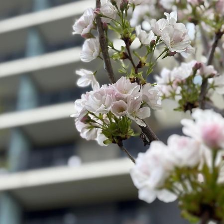 Japandi Studio Apartment, Free Parking 부다페스트 외부 사진